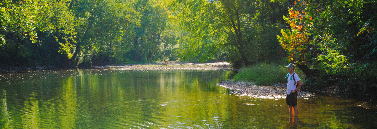 Ryan Fightmaster, MD - Writer and Psychiatrist